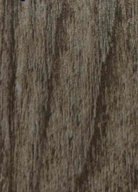 鄉村王冠蠟木 G714-MF 鄉村王冠蠟木 G714-MF